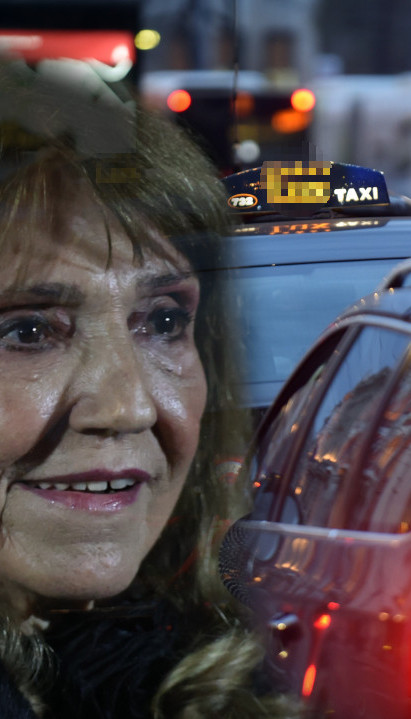 "TAKVOG SKOTA IMAM I KUĆI" Taksista odbio da vozi glumicu